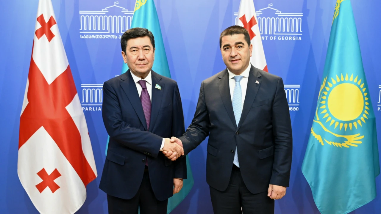 Е.Қошанов грузиялық депутаттарға Президент реформалары туралы айтып берді