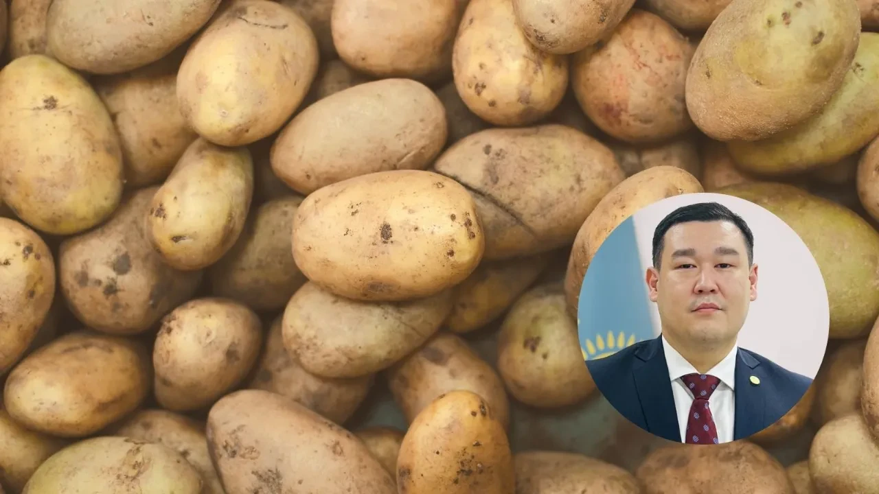 ПОДОРОЖАЕТ ЛИ  КАРТОФЕЛЬ СНОВА, КАК В ПРОШЛОМ СЕЗОНЕ? (ВИДЕО)