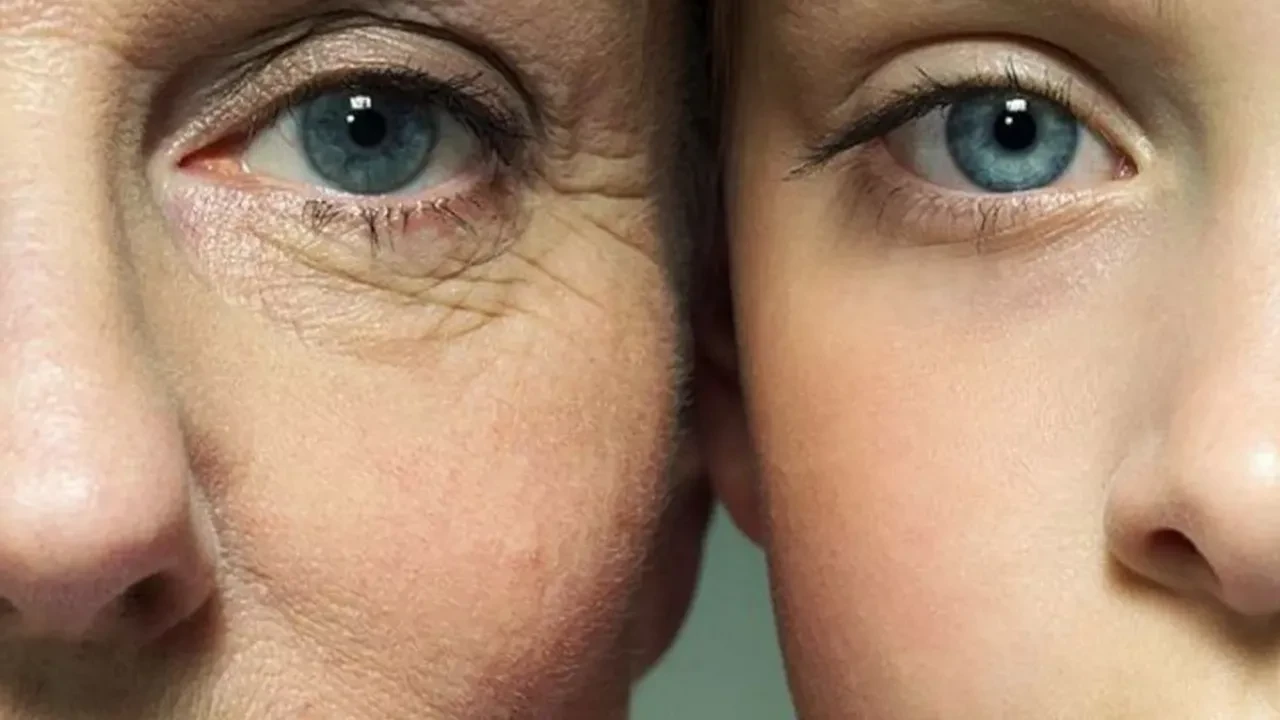 Ғалымдар қартаюдың басты себебін анықтады