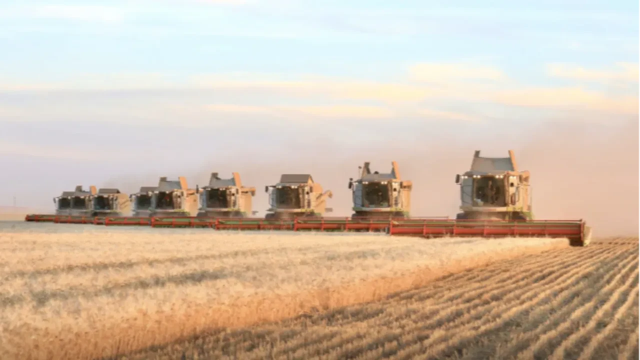 2025 год стал рекордным по урожайности в Казахстане