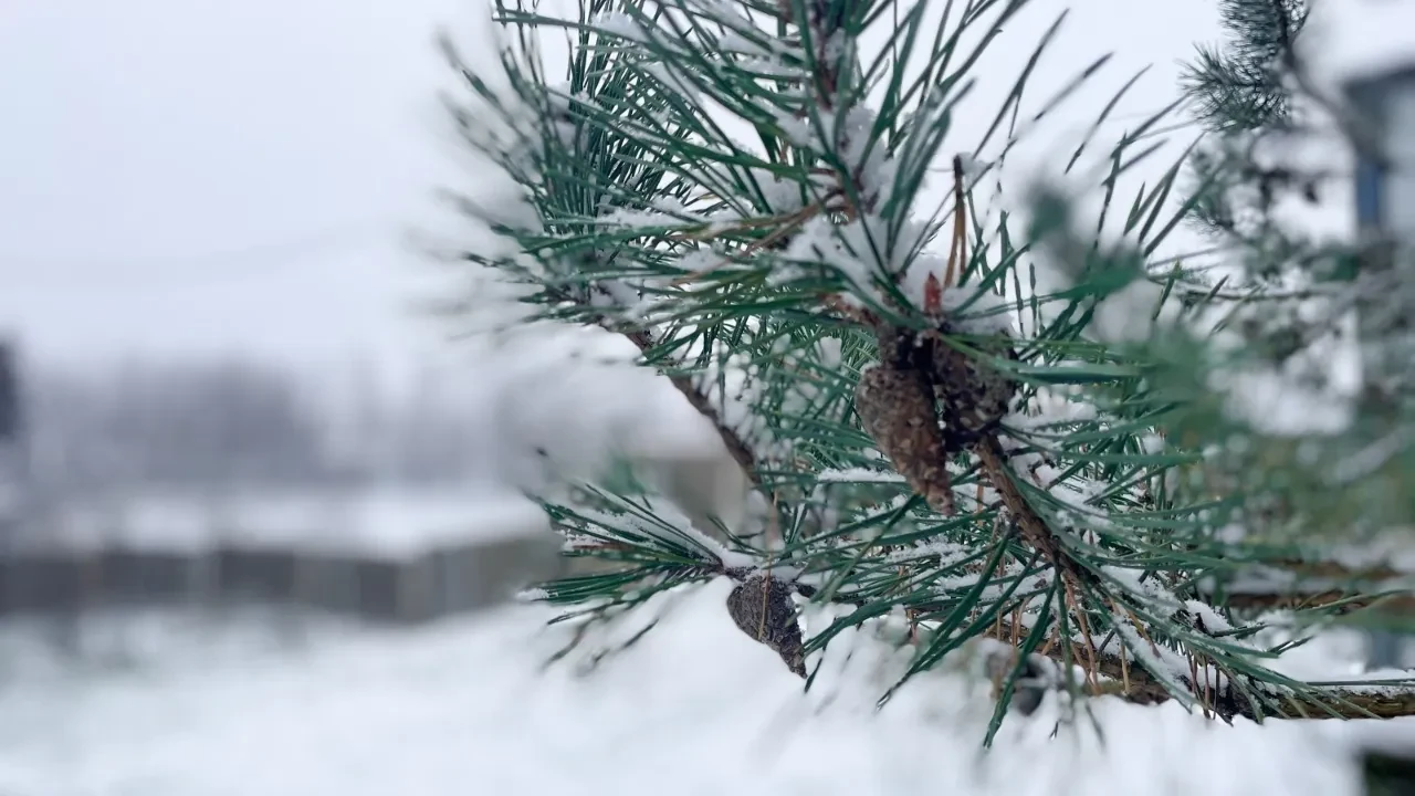 Как казахстанцы будут отдыхать в декабре