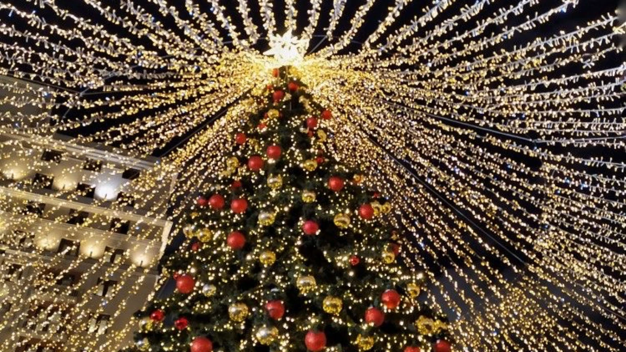 Астанада 40-тан астам шырша бір мезетте жағылады