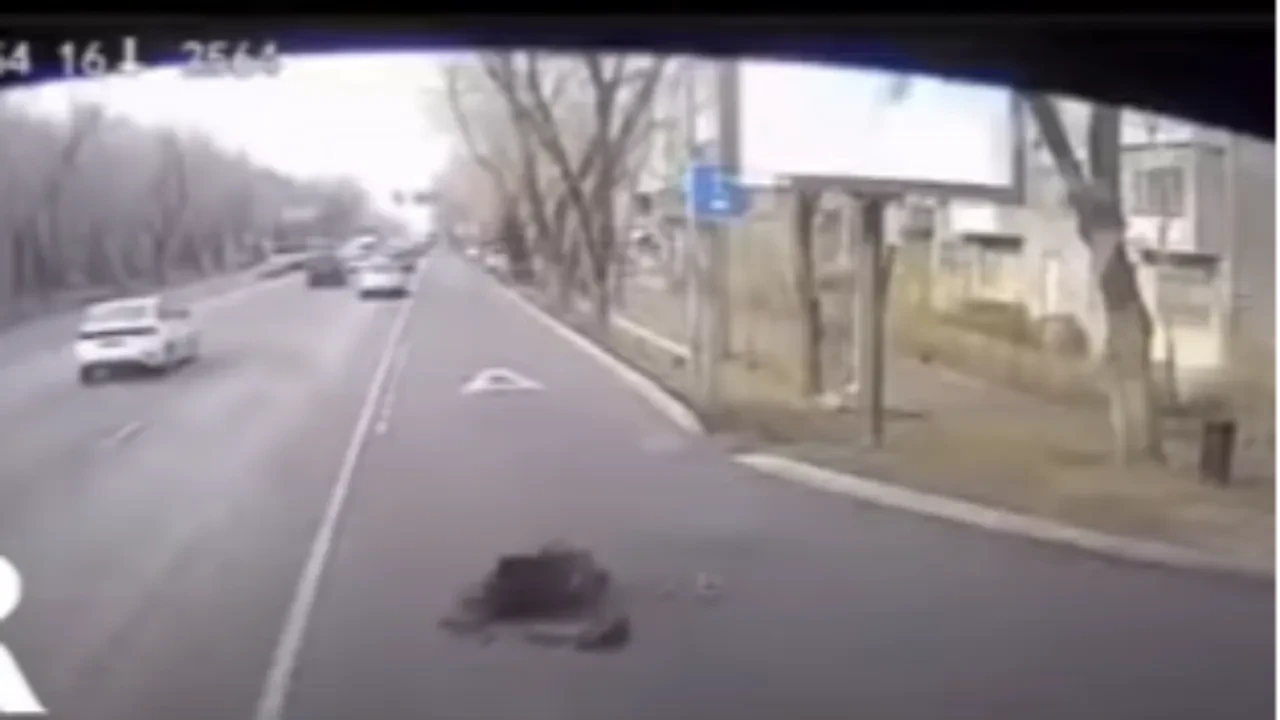 Телефонға алаңдап, қызды қағып түсірді(ВИДЕО)