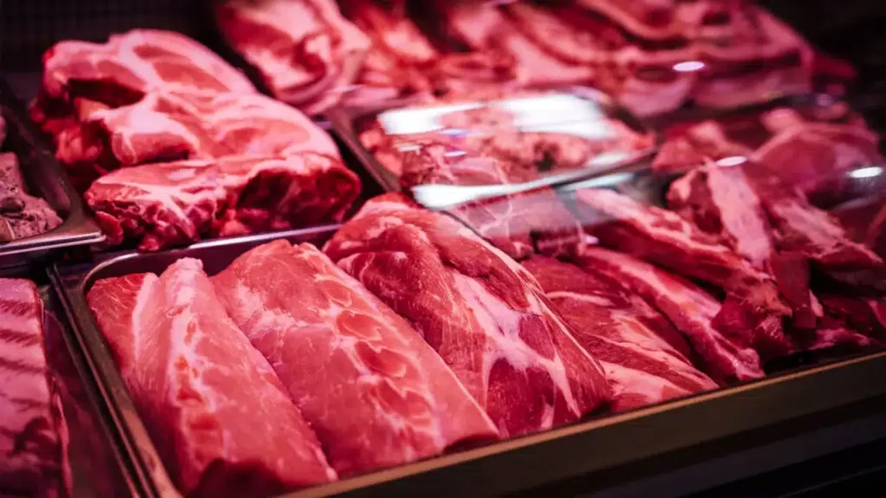 Депутат ет өнімдеріне жүргізілетін тексерістердің әлсіз екенін айтты