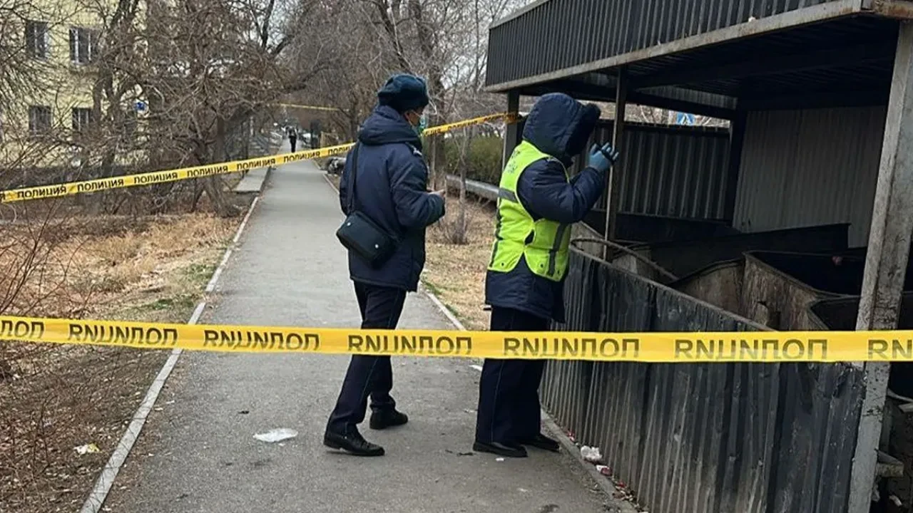 Кентауда қоқыс жәшігінен жаңа туған нәрестенің мәйіті табылды