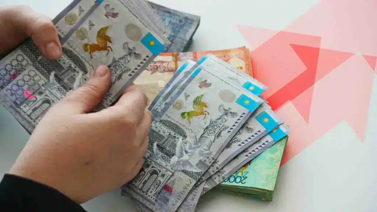 Who Received the Highest Salaries – Ministry of Labor Data