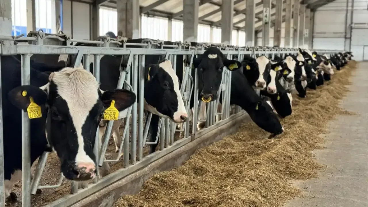 Қазақстанда қанша бас мал бар