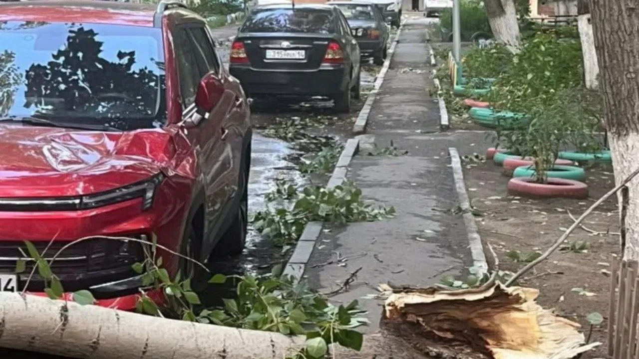 Павлодар облысында жойқын дауыл 16 адамды жарақаттап, бір әйелдің өмірін қиды