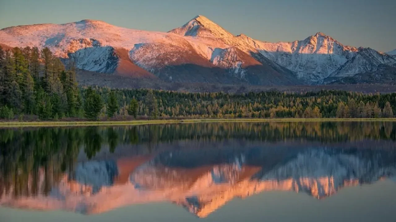 Олигополия иелігіндегі 800 мың гектар жер мемлекетке қайтарылды