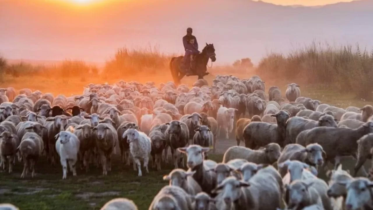 Шопандар 55 жастан бастап әлеуметтік төлем ала алады
