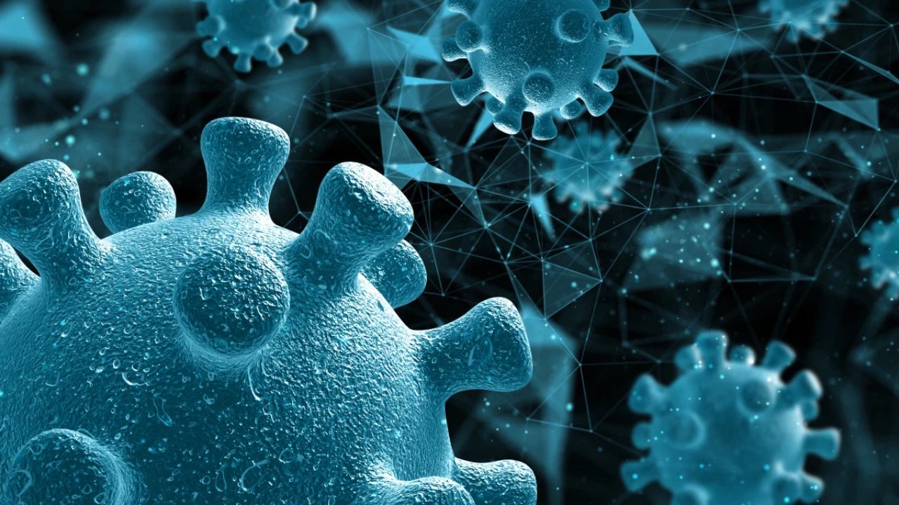 Нипах вирусы: ҚР денсаулық министрлігі шұғыл мәлімдеме жасады