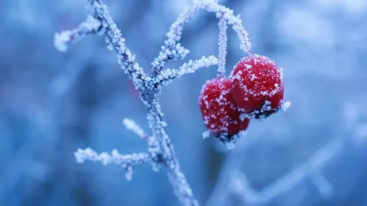 Какая погода ждет Казахстан в последние дни января