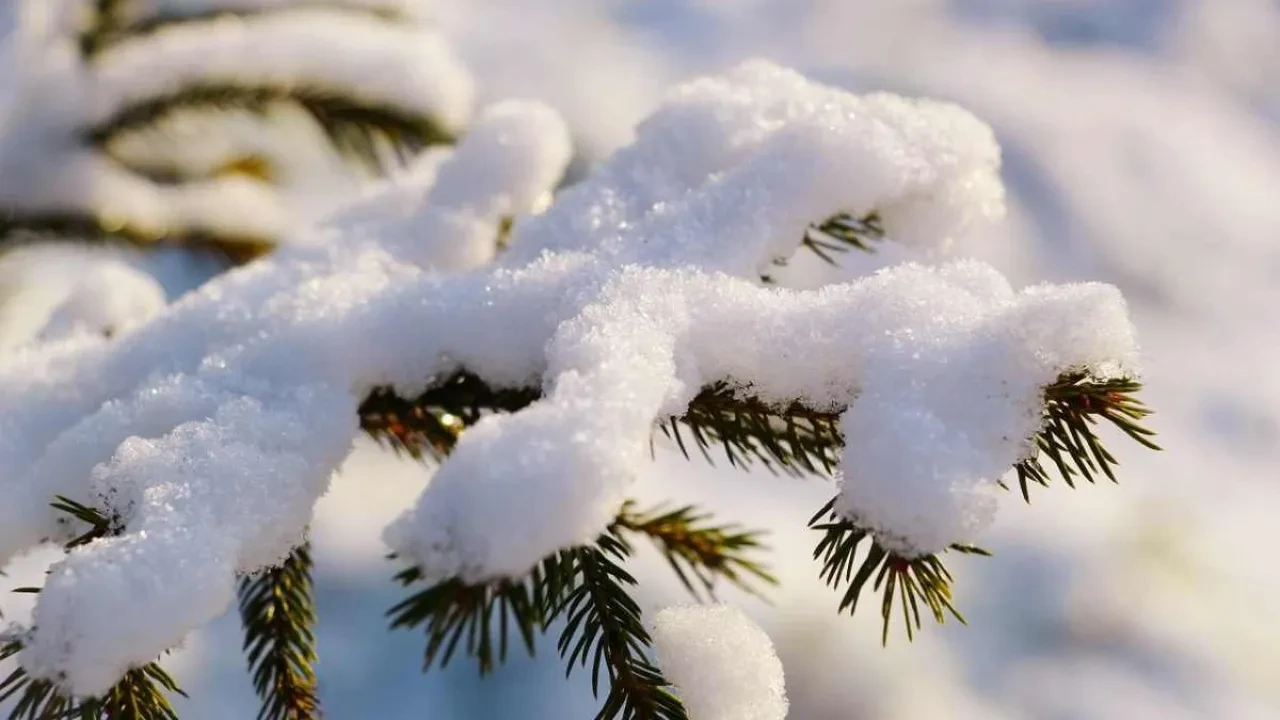 Какой будет погода в Казахстане в выходные дни