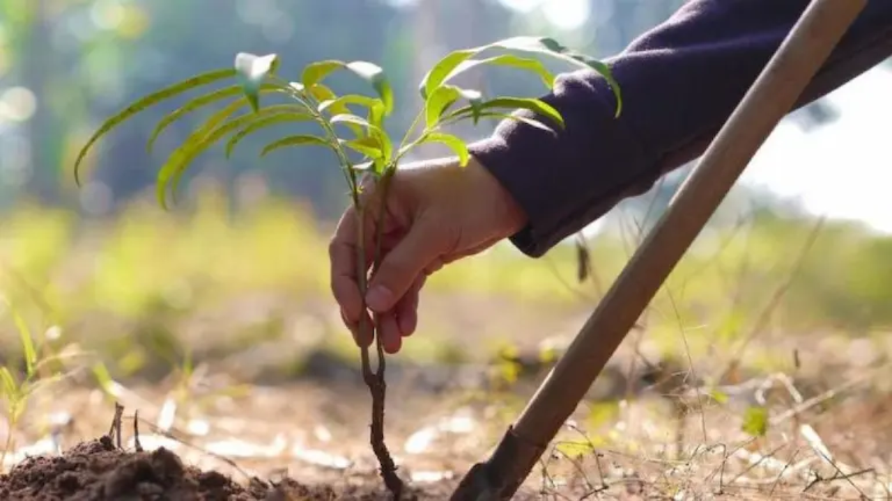 Елді мекендердегі тазалық пен тәртіп үшін жауапкершілік күшейді
