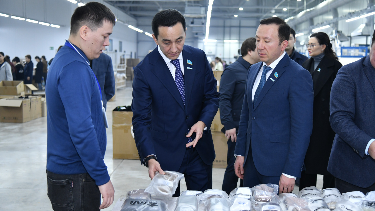 Мәжіліс депутаттары Шымкенттегі тоқыма кәсіпорнының жұмысымен танысты