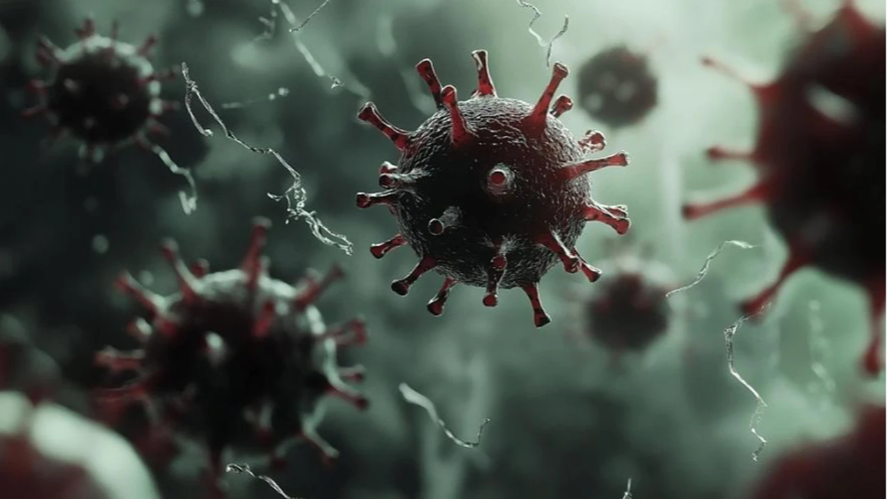 Қазақстанда «Омикрон» штамының жаңа нұсқалары таралуда: Санитарлық қызметтің ресми мәлімдемесі