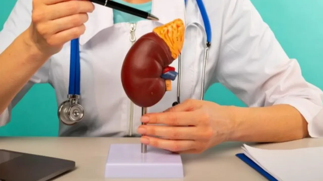 Түркістан облысында ер адам бүйрегін 13 млн теңгеге сатпақ болған