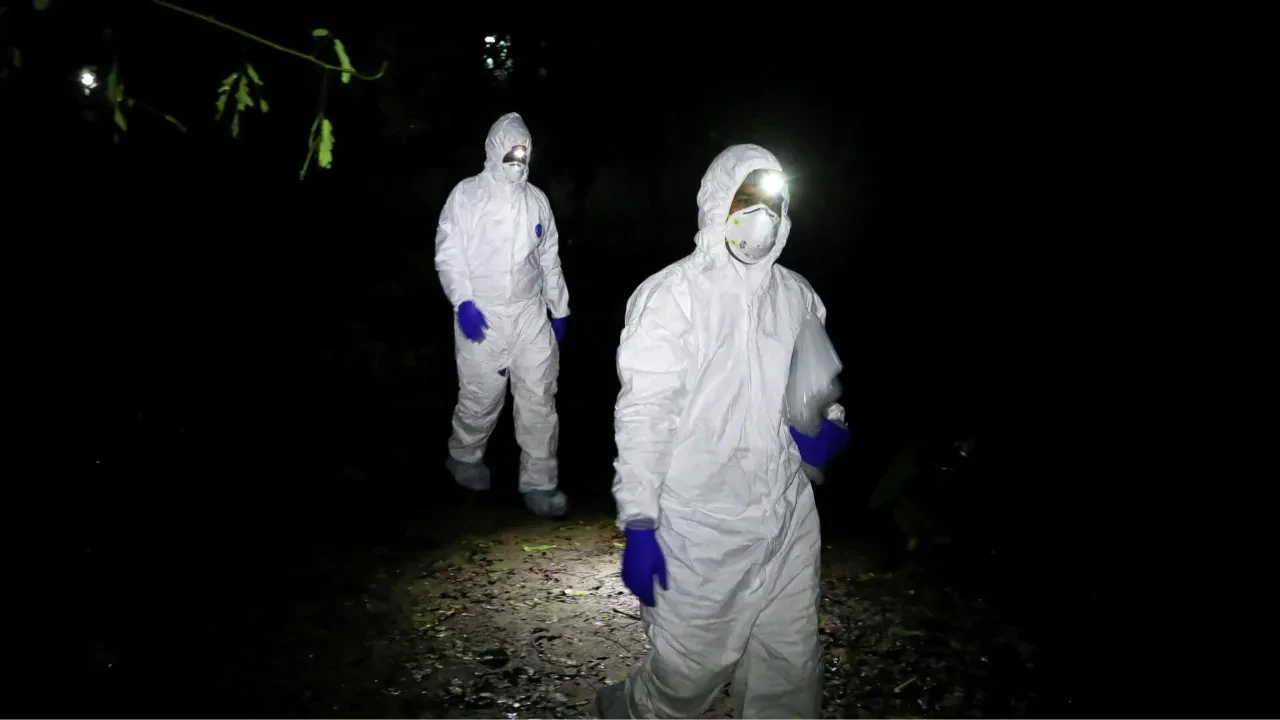 Nipah Virus: Canceled Vacations Under the Palms and Should Kazakhstanis Be Concerned?