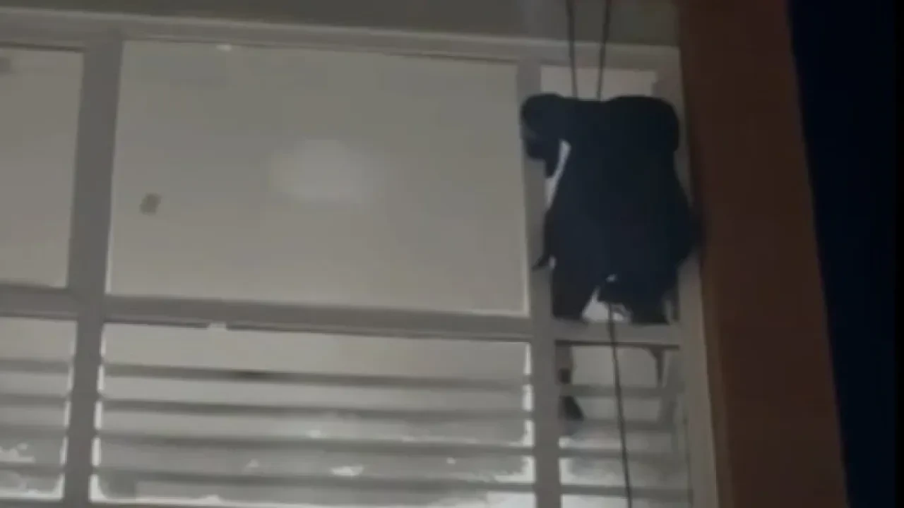 Ремонт балкона обернулся трагедией в Шымкенте