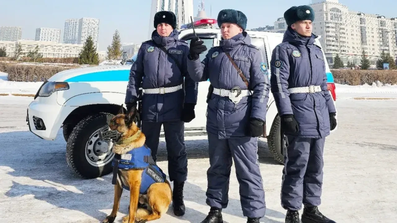 Полиция не для развлечений: кто будет охранять концерты?