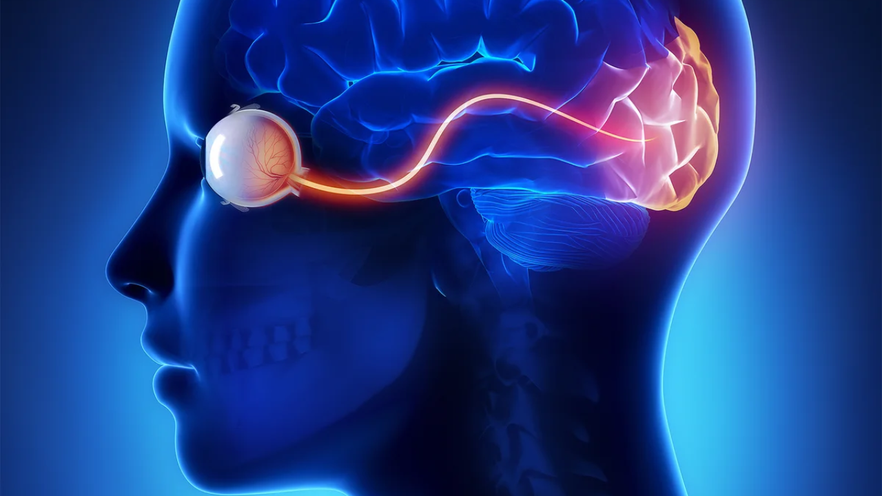 68 секунд ішінде қалай арманыңызға жетуге болатыны дәлелденді