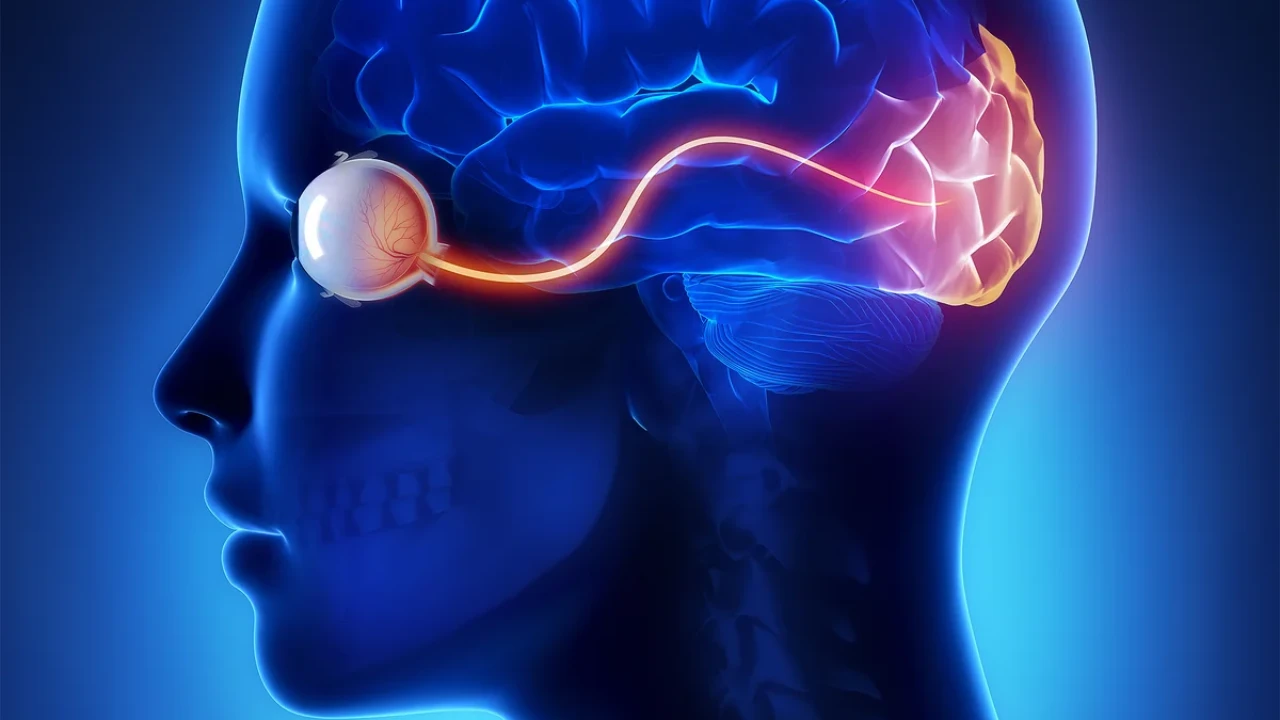 68 секунд ішінде қалай арманыңызға жетуге болатыны дәлелденді