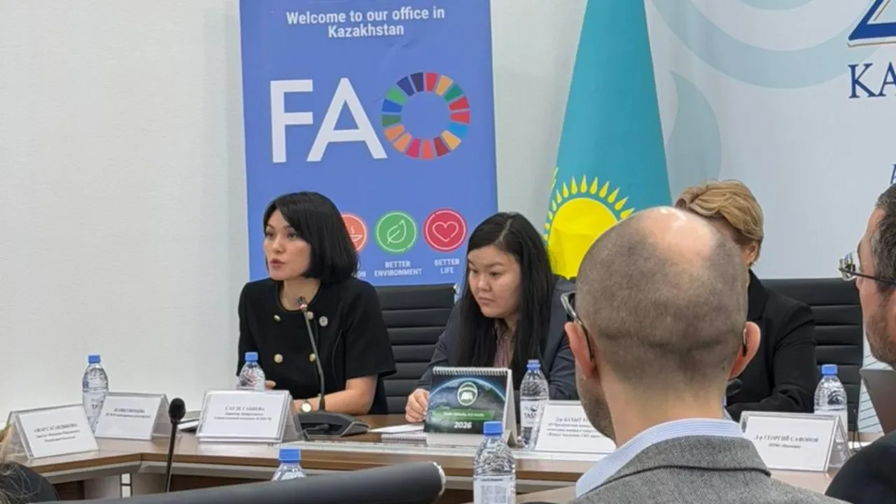 ФАО: Эксперт из Франции отметил огромный потенциал Казахстана в энергетике и лесном хозяйстве
