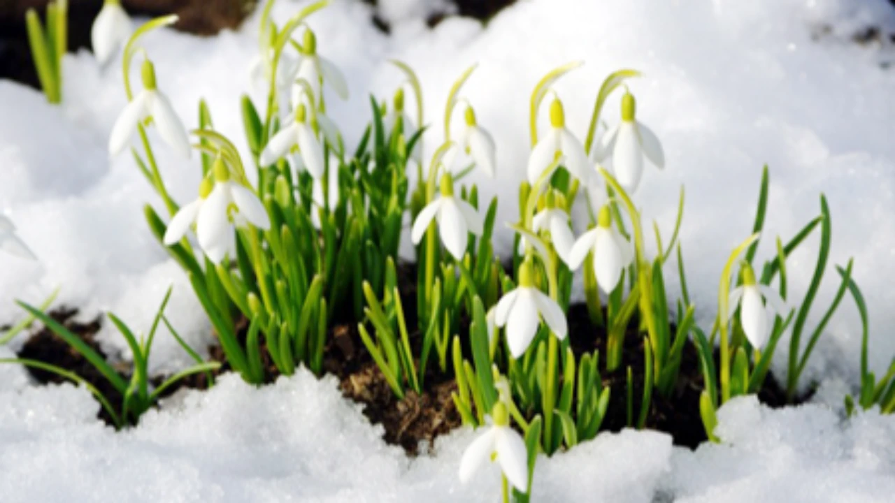 Аяздың беті қайтты: Қазақстандықтарды апта соңында не күтіп тұр?