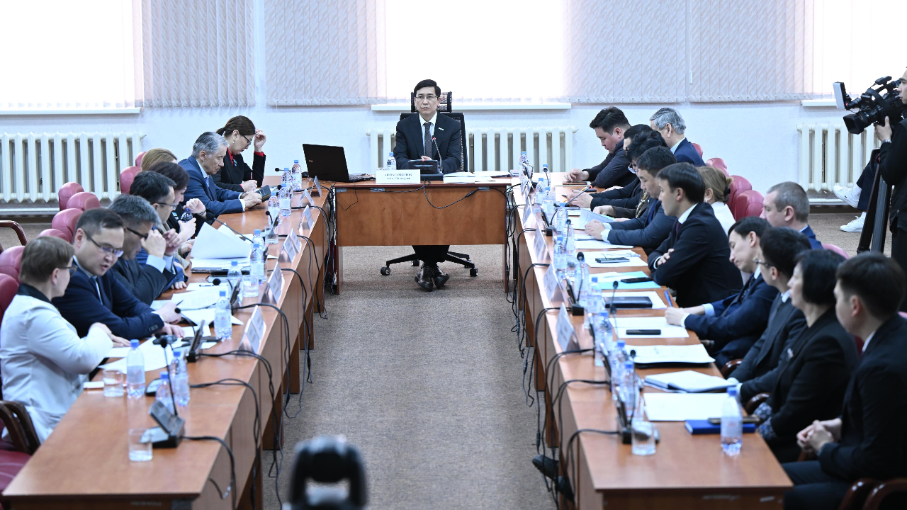 Мәжіліс депутаттары тәуелділікті емдеу және оңалту мәселелерін талқылады