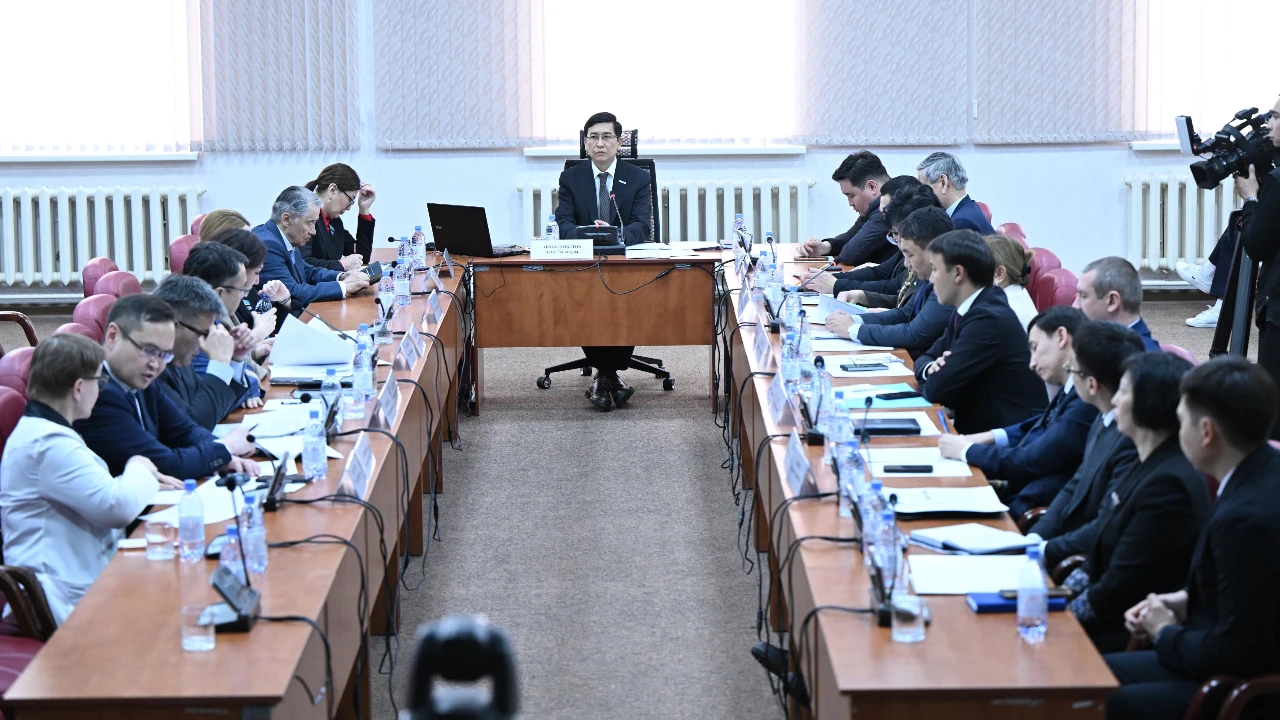 Мәжіліс депутаттары тәуелділікті емдеу және оңалту мәселелерін талқылады