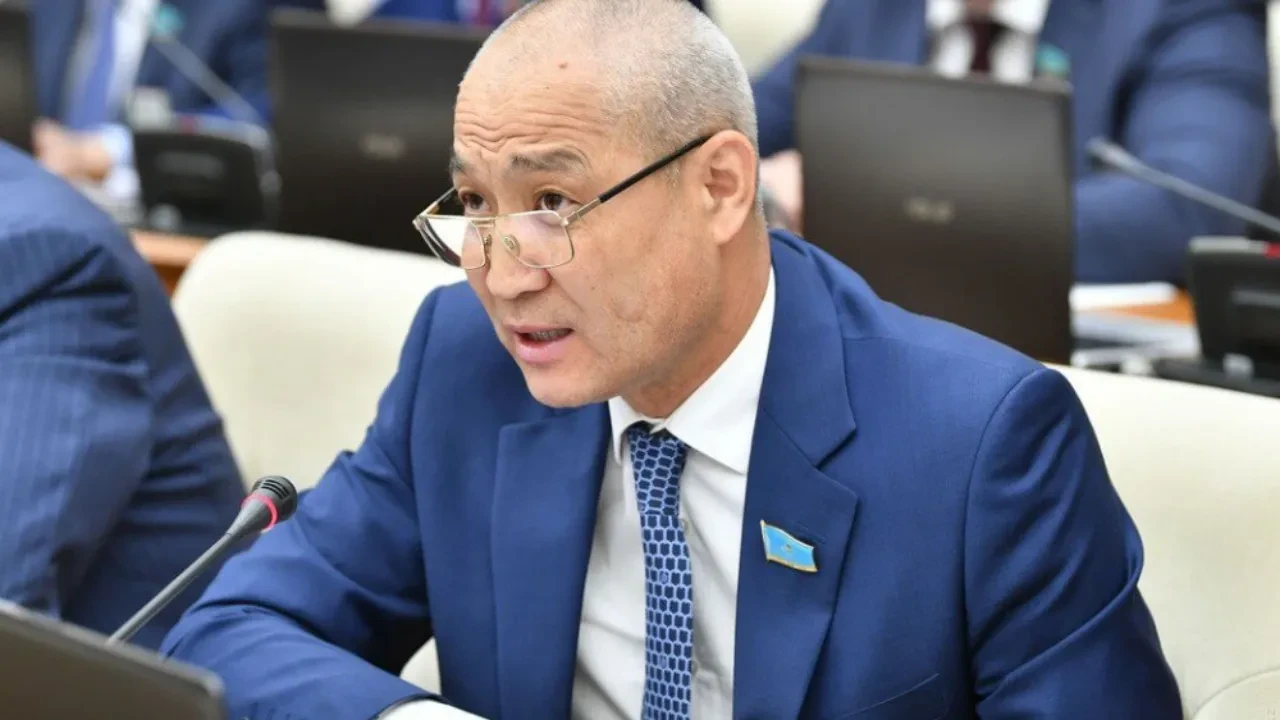 В Казахстане предложили содержать бродячих собак минимум 5 дней