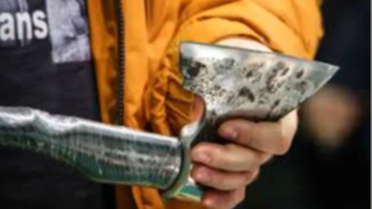 Шестиклассница пришла в школу Алматы с топором по указанию из соцсетей