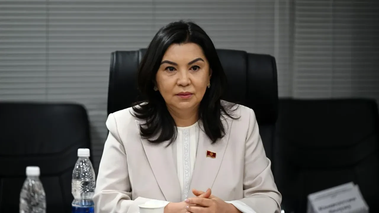 Кыргызский депутат предложила учиться у Казахстана привлекать деньги
