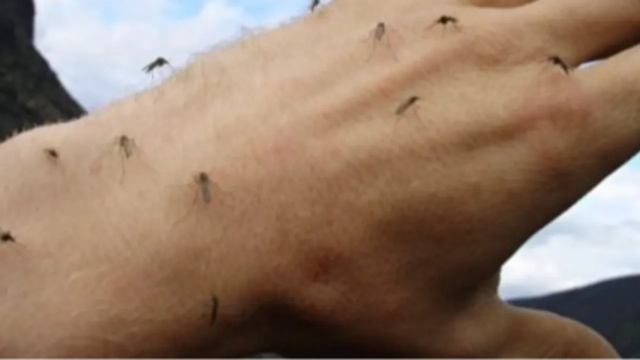 Астанчан просят спать с закрытыми окнами