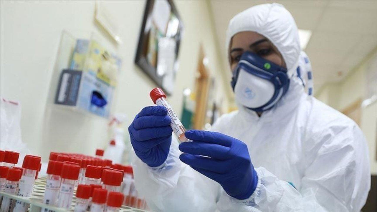 Сирек кездесетін Эбола вирусын жоятын 3 дәрі сынақтан өтпек
