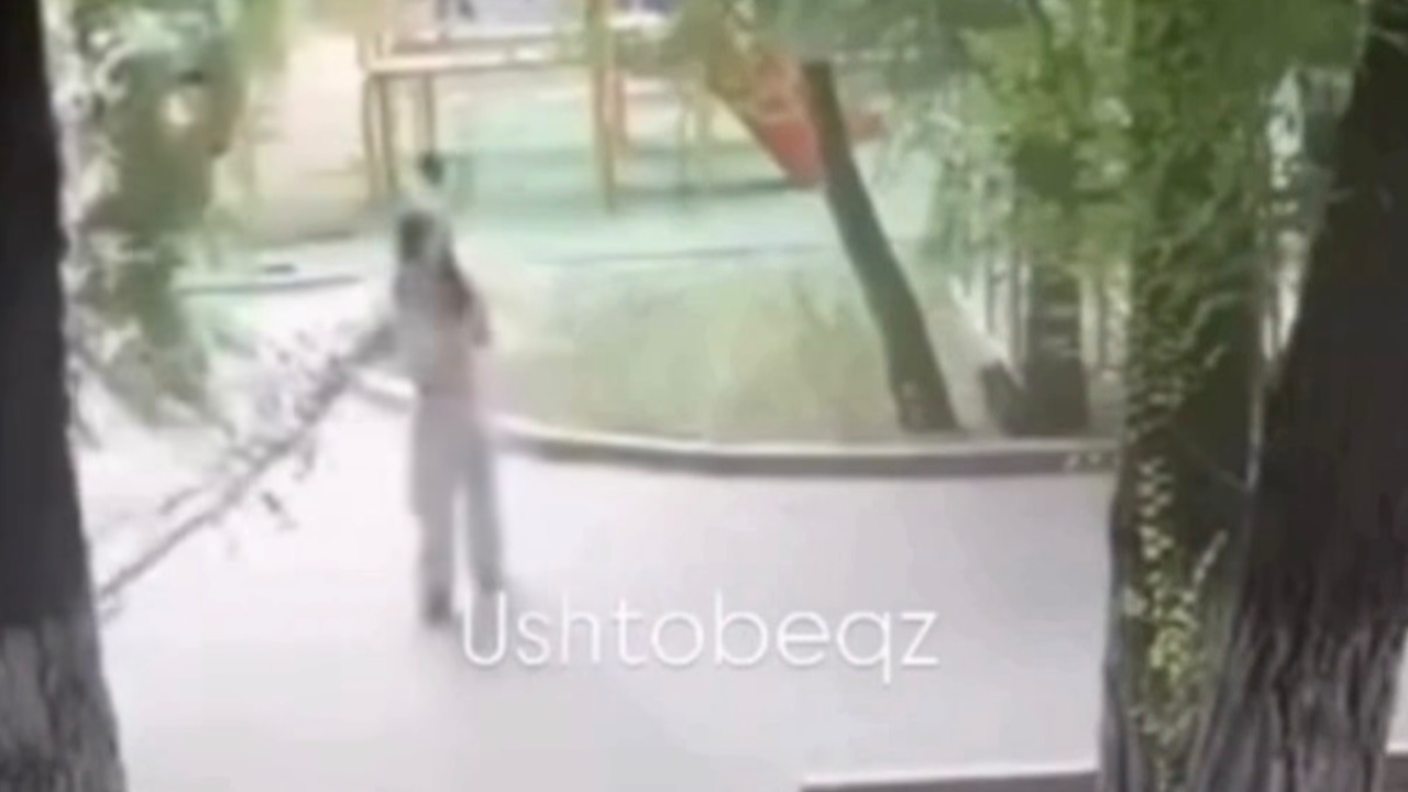 Девушка в Уштобе пострадала от высохшей ветки