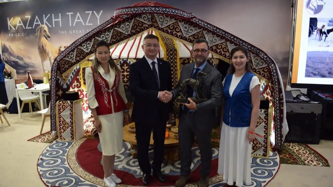 Болоньяда өткен Әлемдік иттер көрмесінде (World Dog Show 2026) қазақ тазысы топ жарып, әлем чемпиондары атанды