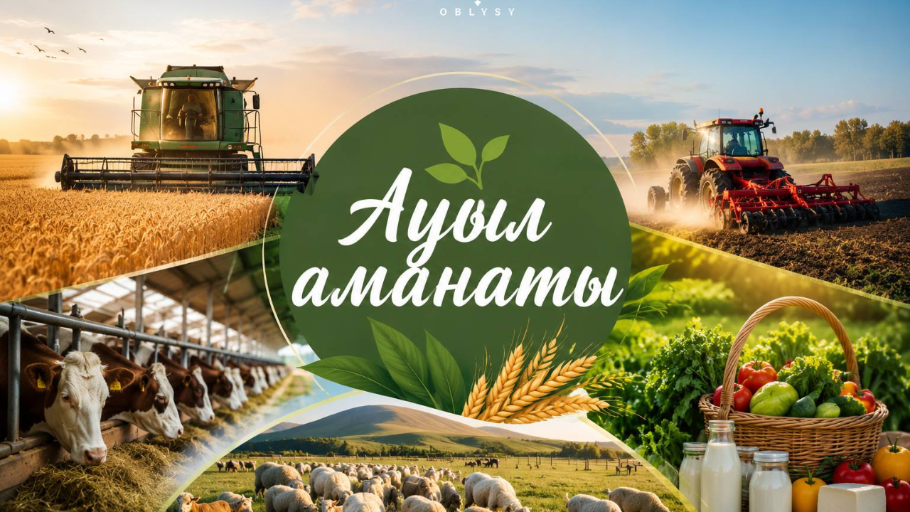 Ауыл тұрғындарының табысы артпақ: Абай облысында кәсіпкерлікке жол ашқан бағдарлама қалай жұмыс істеуде