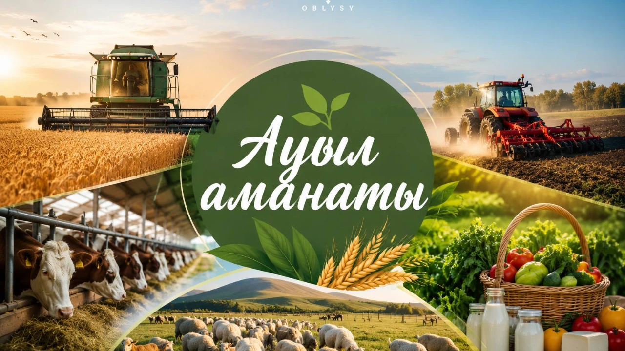 Ауыл тұрғындарының табысы артпақ: Абай облысында кәсіпкерлікке жол ашқан бағдарлама қалай жұмыс істеуде