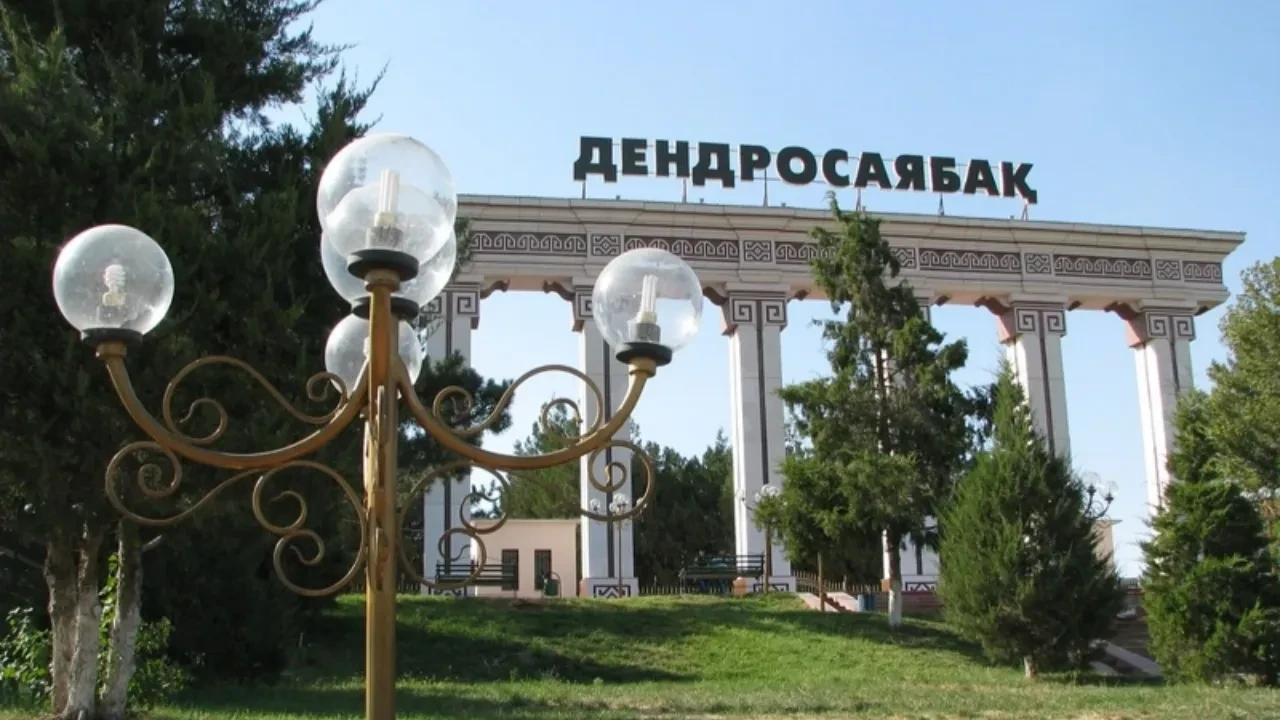 Шымкент дендросаябағында жасөспірім пышақ жарақатын алды