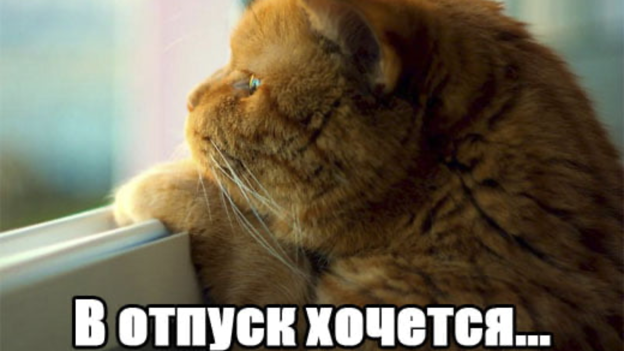 35% казахстанцев не выходили в отпуск этим летом