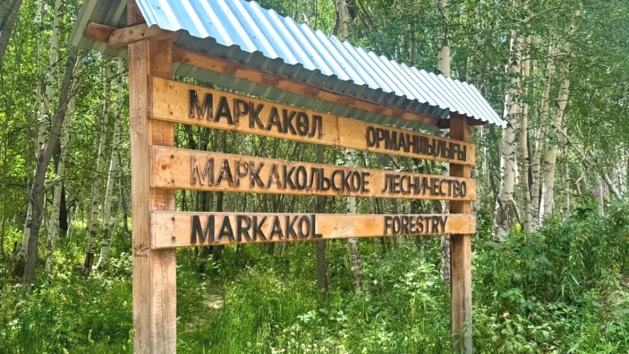 Пожар в Маркакольском лесничестве: авиация совершила 9 сливов воды