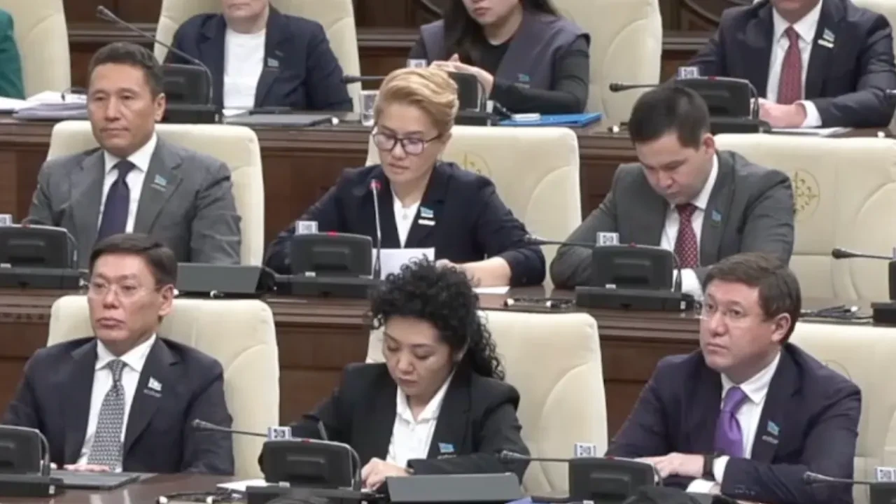 Депутат Құрылтая Дана Медеуова предложила ввести закон о статусе медработников
