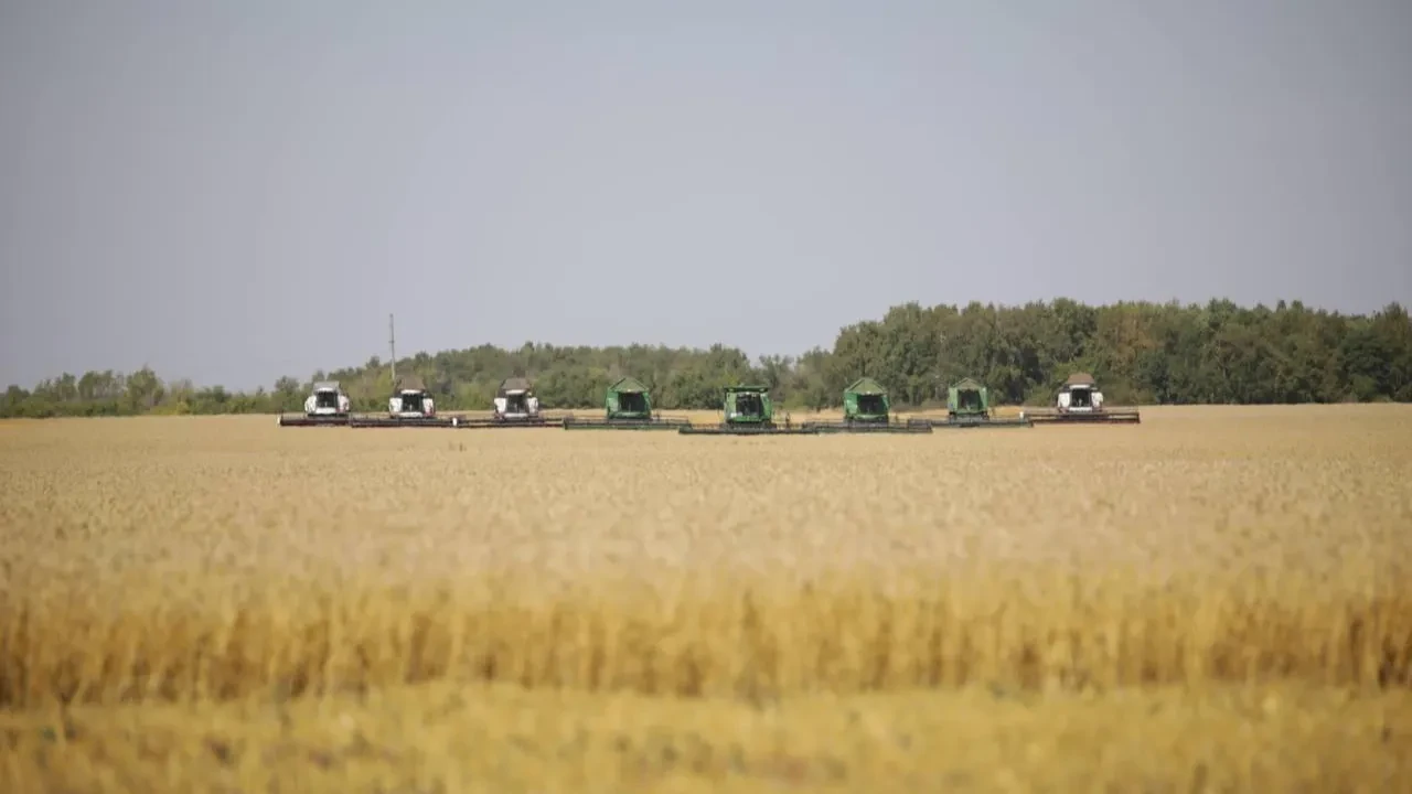 Қуаңшылыққа қарамастан қамба астыққа толды