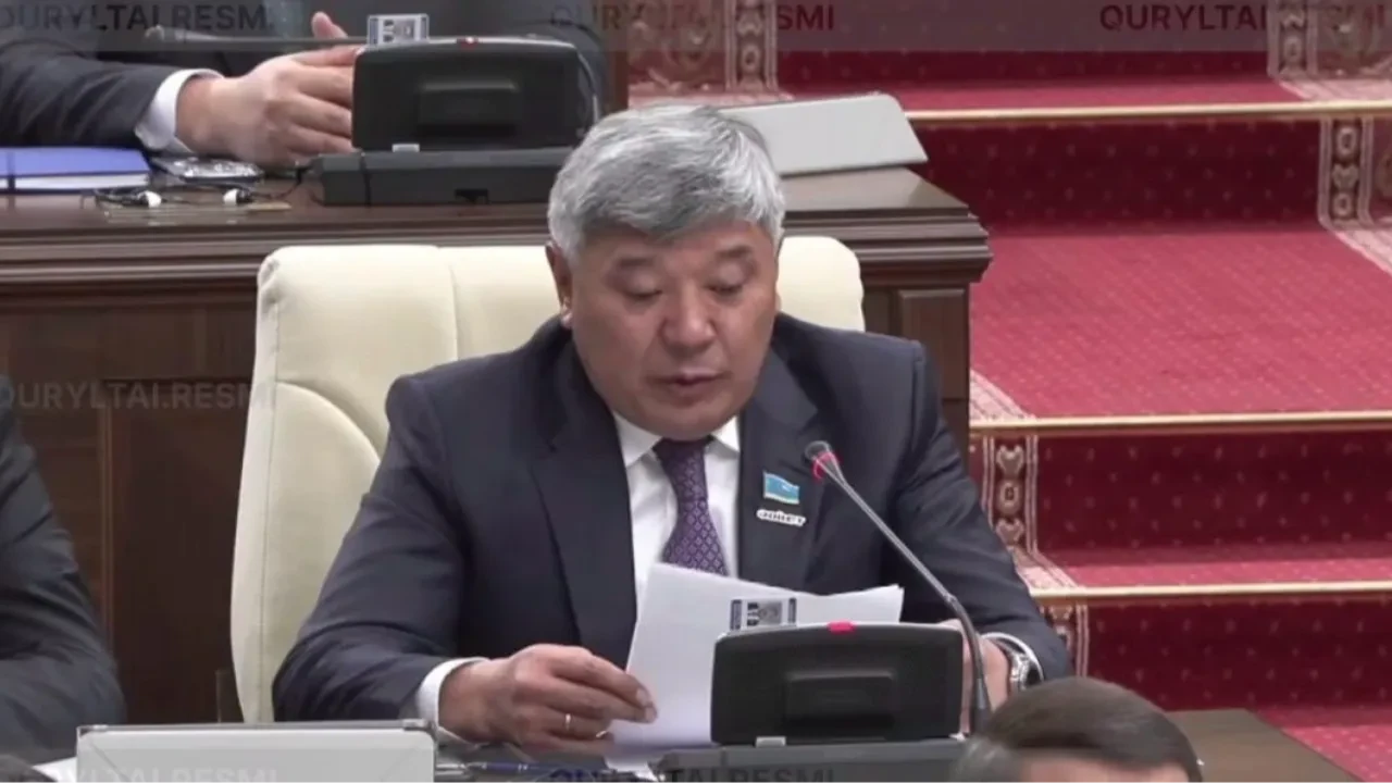 Депутат Қазақстанда жасөспірімдердің әлеуметтік желіге кіруіне шектеу қоюды ұсынды