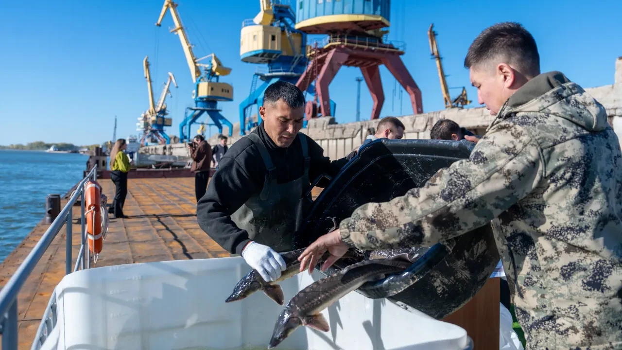 На берегу Зайсана планируют запустить крупный проект по разведению и переработке рыбы